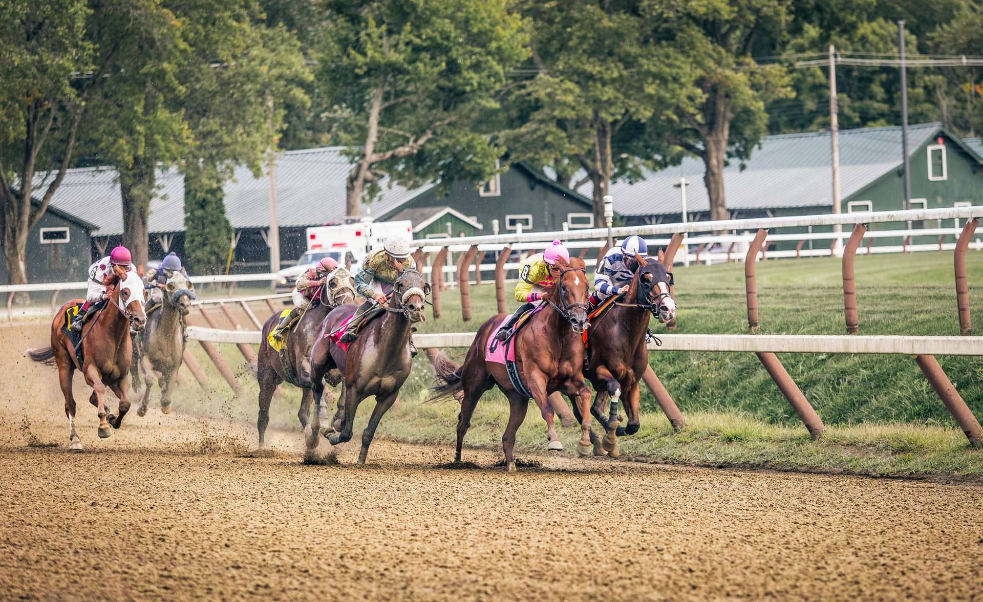 Oaklawn Horse Racing Schedule 2022 A Run For The Roses: 15 Possible Contenders For The Kentucky Derby 2022 -  Everything Horse