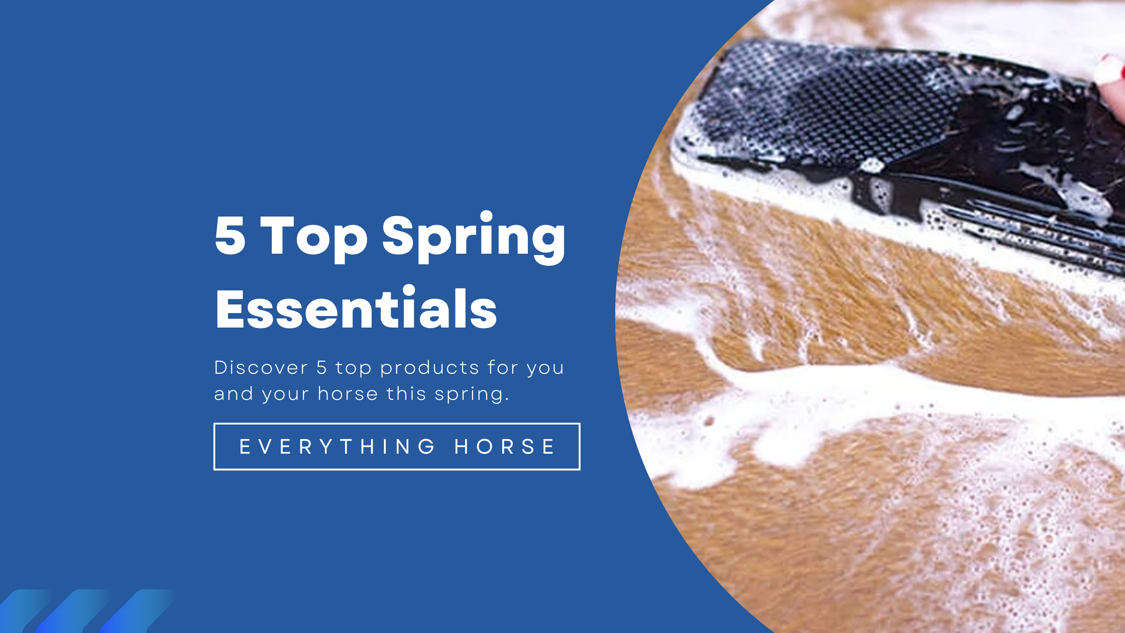 5 top spring essentials