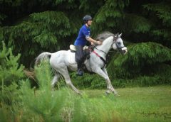 New Sport Horse Injury/Lameness Prevention & Care Online Course