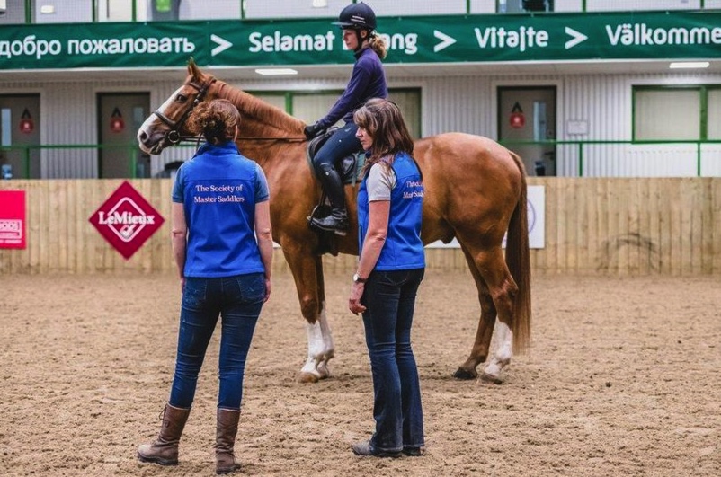 Saddle fitting pointers