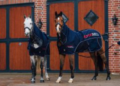 FMBs Therapy Systems launching their Charity Draw in aid of Hannah’s Willberry Wonder Pony Charity and British Equestrians For Ukraine.