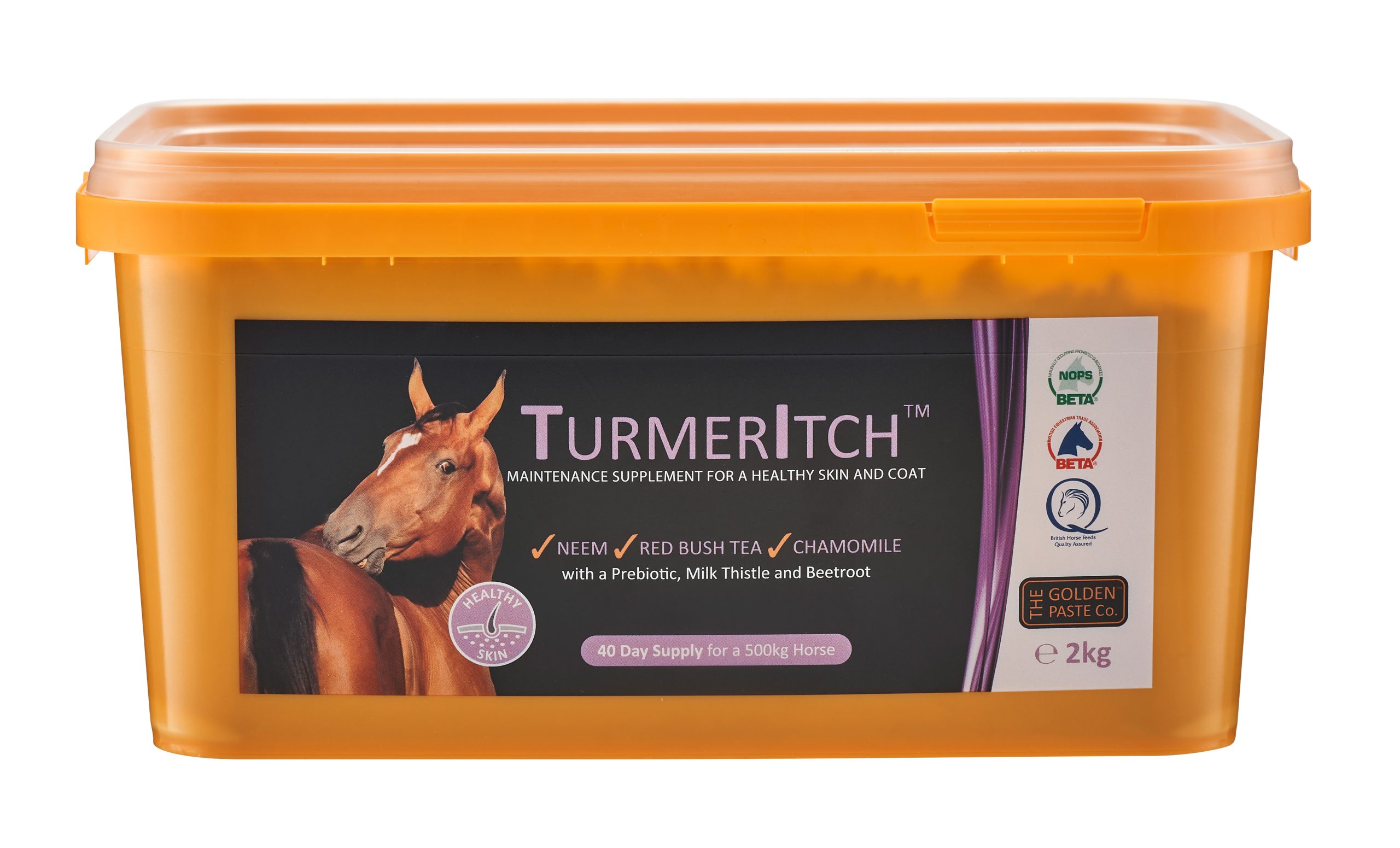 TurmerItch from The Golden Paste Company