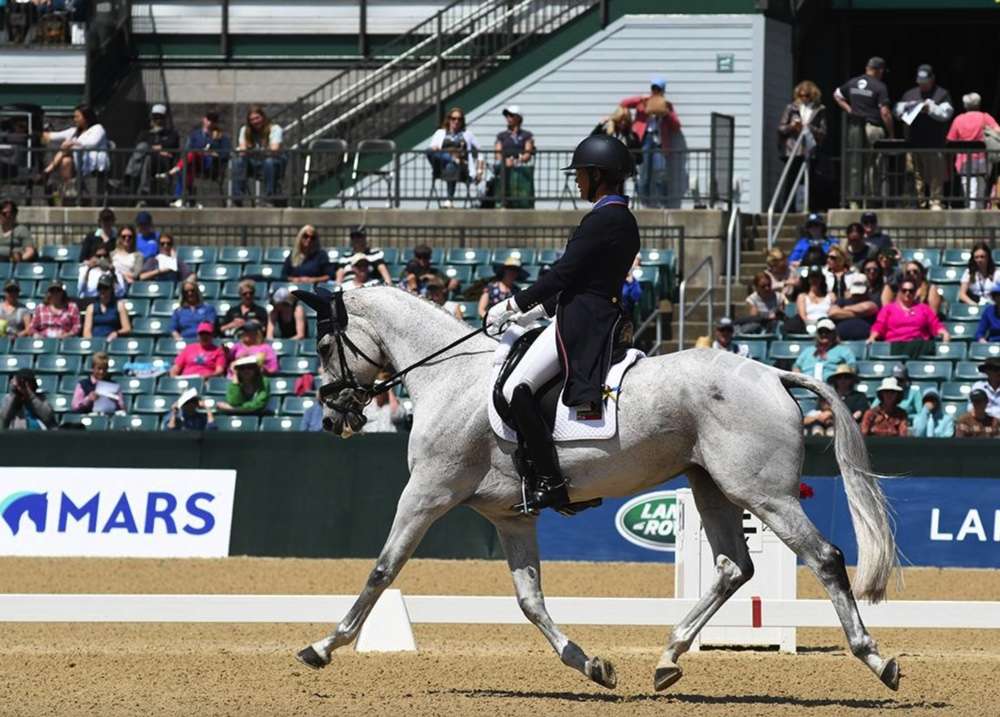 Tamra Smith and Fleeceworks Royal trotted to the top with the leading dressage test in the CCI5*-L at the Land Rover Kentucky Three-Day Event presented by MARS EQUESTRIAN™. Allison Pezzack Photo