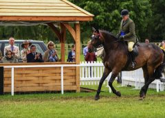 2022 CHI Royal Windsor Horse Show