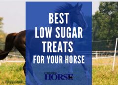 best low sugar treats for your horse