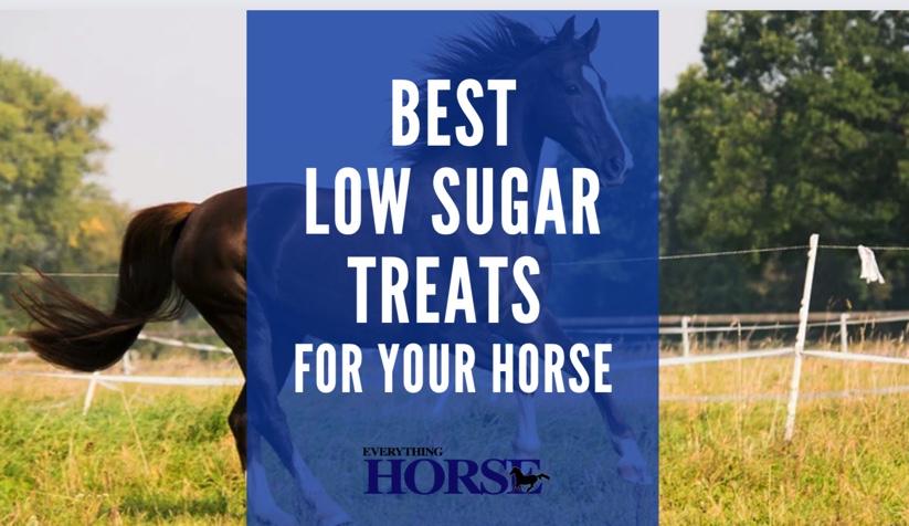 best low sugar treats for your horse