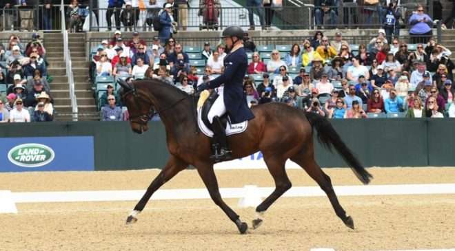 Germany’s Michael Jung and fischerChipmunk FRH launched to the top of the standings by scoring 20.1 in the dressage phase of the CCI 5*-L at the Land Rover Kentucky Three-Day Event presented by MARS EQUESTRIAN™. Michelle Dunn Photo