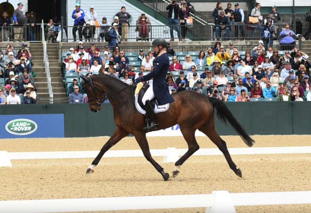 Germany’s Michael Jung and fischerChipmunk FRH launched to the top of the standings by scoring 20.1 in the dressage phase of the CCI 5*-L at the Land Rover Kentucky Three-Day Event presented by MARS EQUESTRIAN™. Michelle Dunn Photo