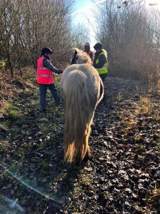Stig is a pony Bransby Horses rescued from a landfill site earlier this year – he was the first rescue of 2022