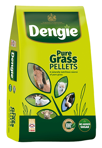 Dengie Pure Grass Pellets