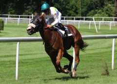 Best Horse Racing Betting Strategies