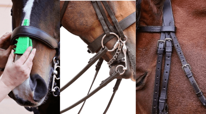 Bridle Fitting - Know-How 