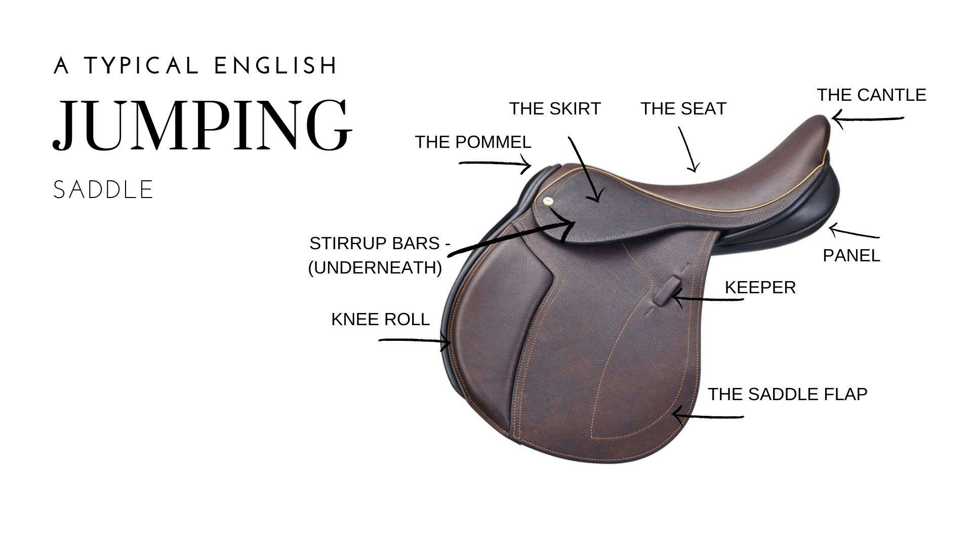 A typical English jumping saddle with each point marked out