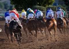 horses racing popular sport