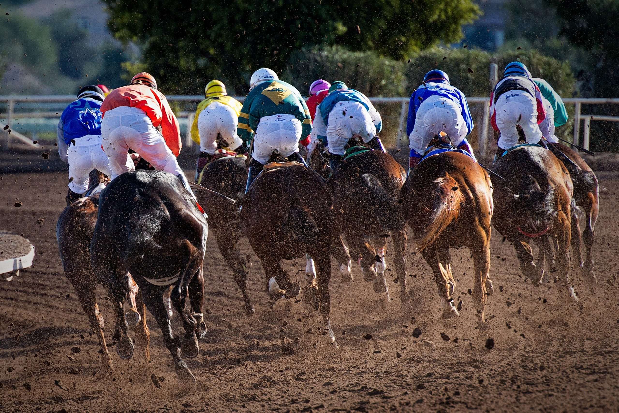 horses racing popular sport