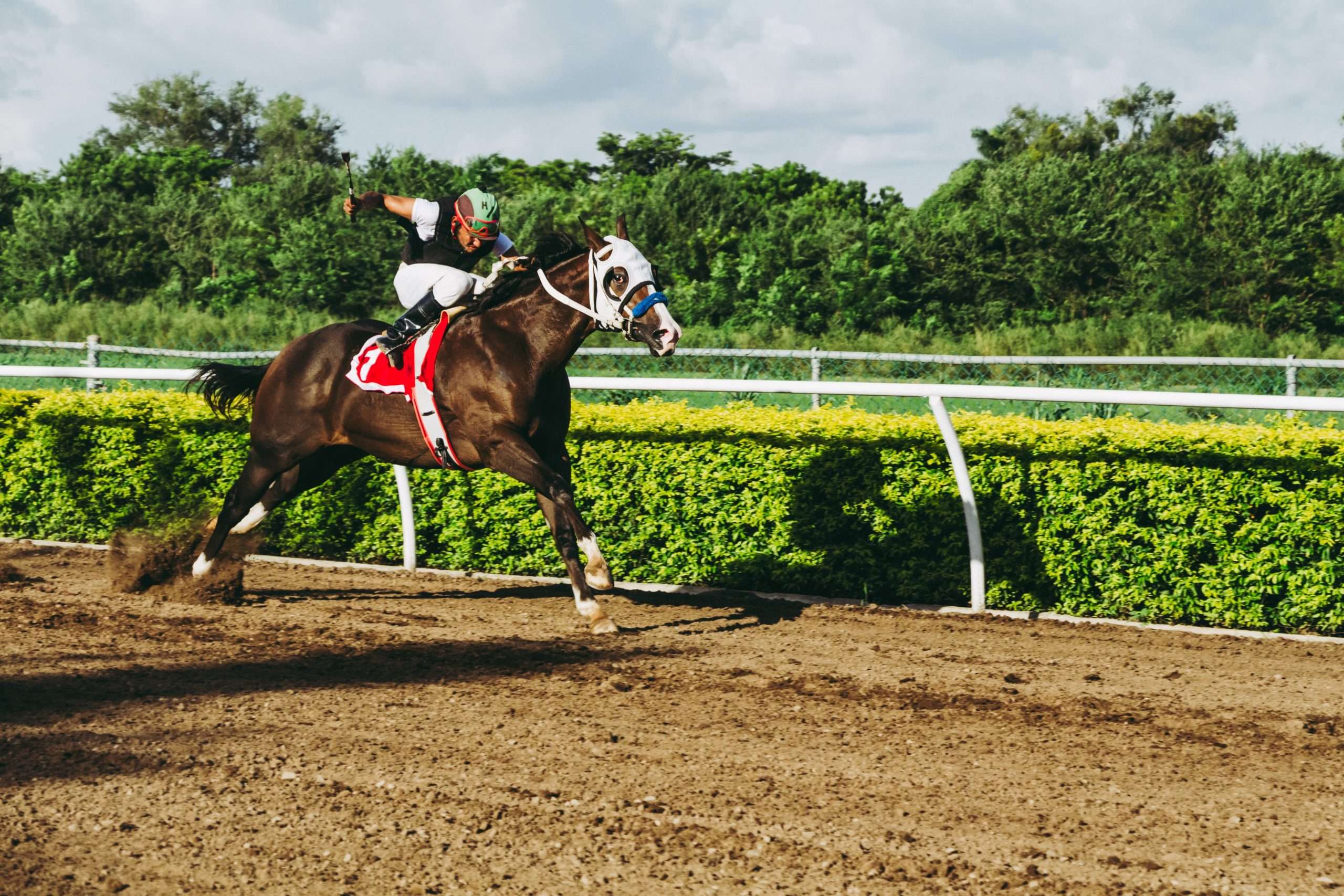 Understanding the Different Types of Horse Racing Bets