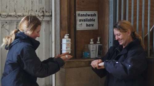Setting up handwashing points is an easy way to improve hygiene and biosecurity on any yard.