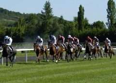 Horses racing What are the most prestigious horse racing events in the UK?