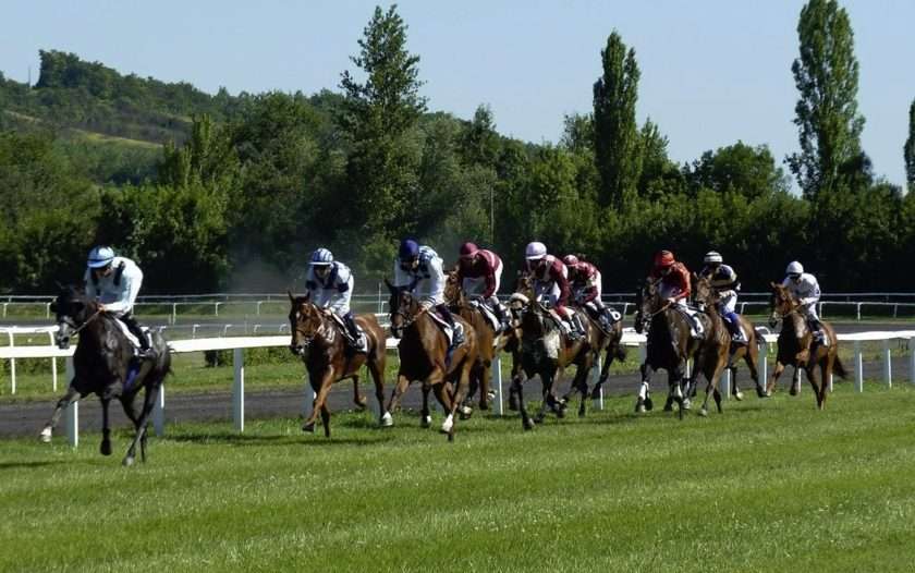 Horses racing What are the most prestigious horse racing events in the UK?
