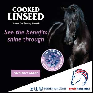 British Horse Feeds Cooked Linseed advertisement