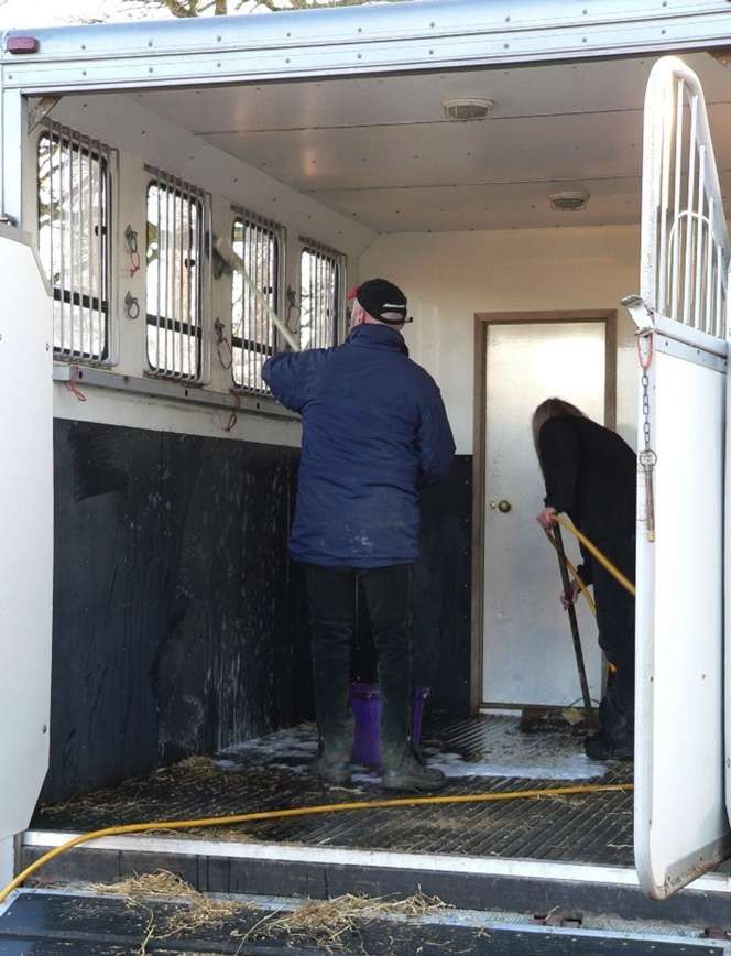 Horse transport hygiene is especially important to help reduce the spread of disease.