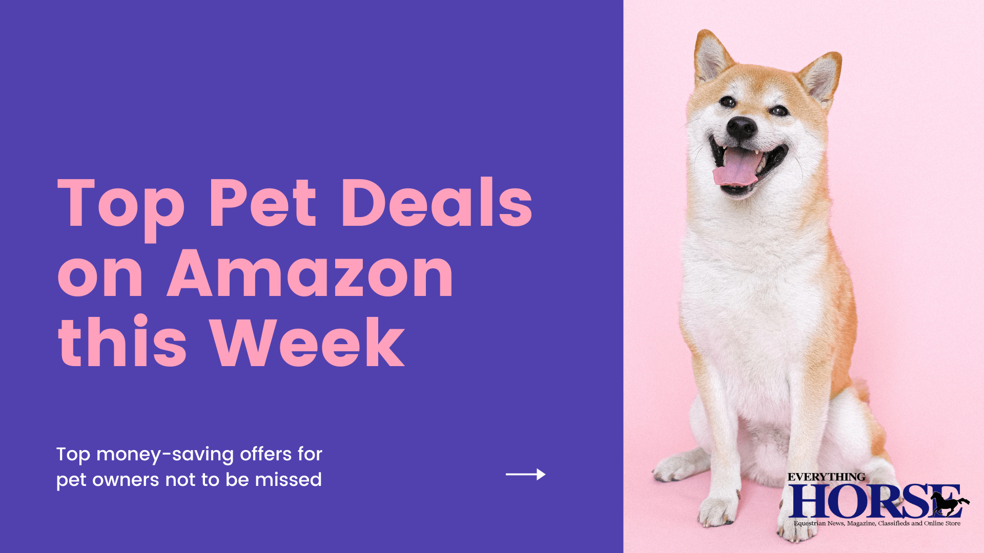 Top Pet Deals on Amazon this Week