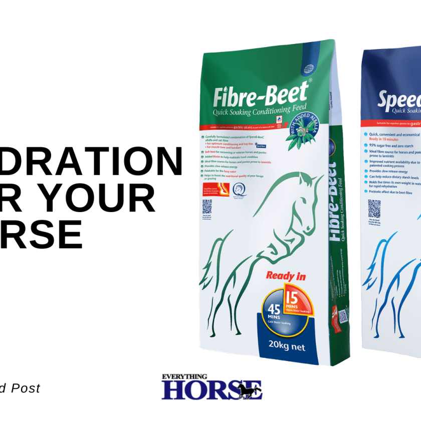 Hydration for your horse