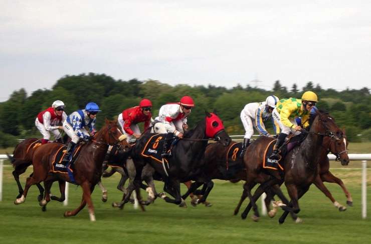 horses racing for Betting credit score advice