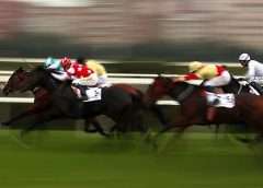 horses racing - Horse racing betting advice