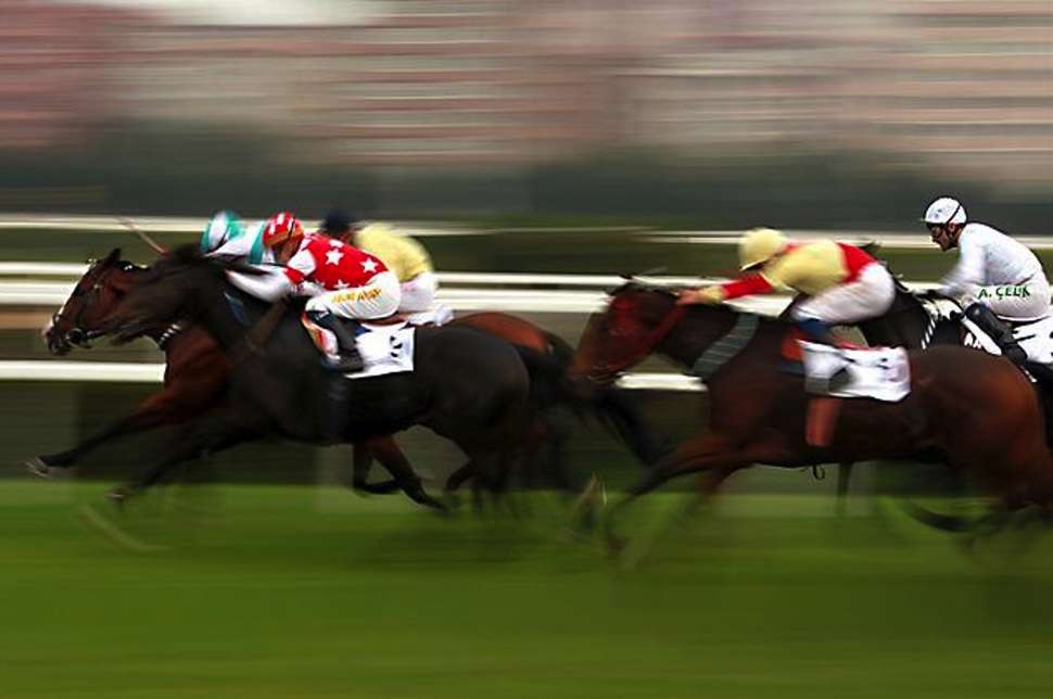 horses racing - Horse racing betting advice