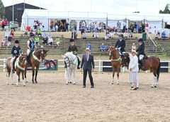 Search for a Star RDA showing championship at the RDA National Championships