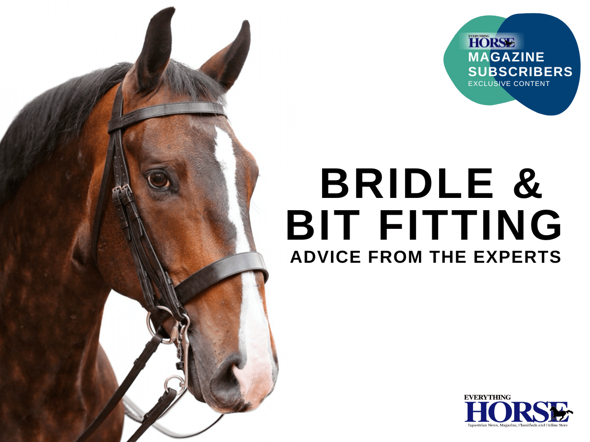 bridle and bit fitting