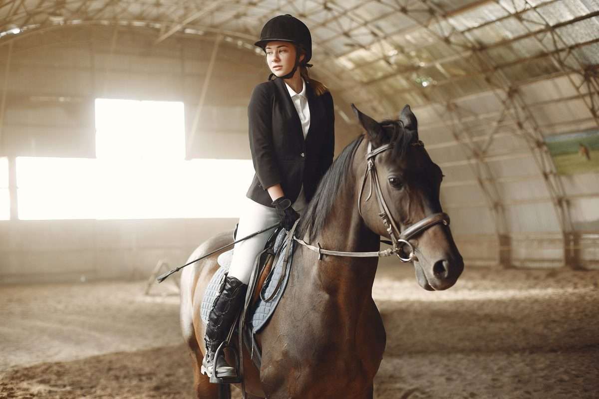 Equestrian photo created by prostooleh - www.freepik.com