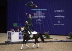 Vaulting: An historic end of an era for France
