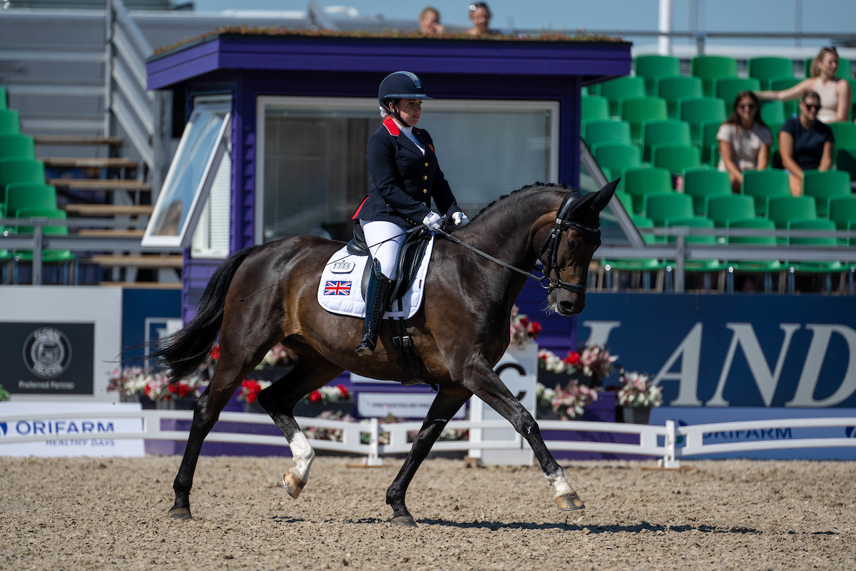 Paris Paralympic Place Secured In Herning | Everything Horse