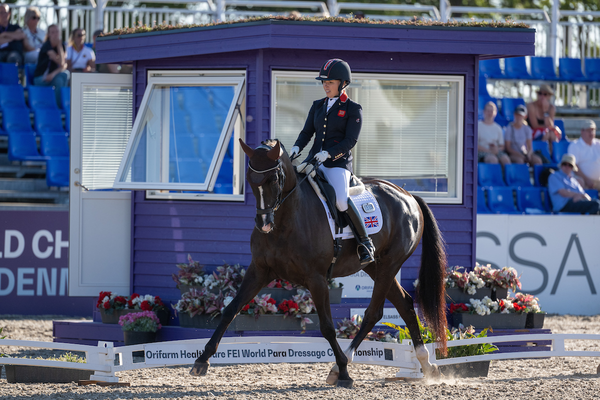 Sophie WELLS (GBR) & Don Cara M - Grade V - Individual - Para Dressage - FEI World Championships Herning 2022. credit British Equestrian / Jon Stroud
