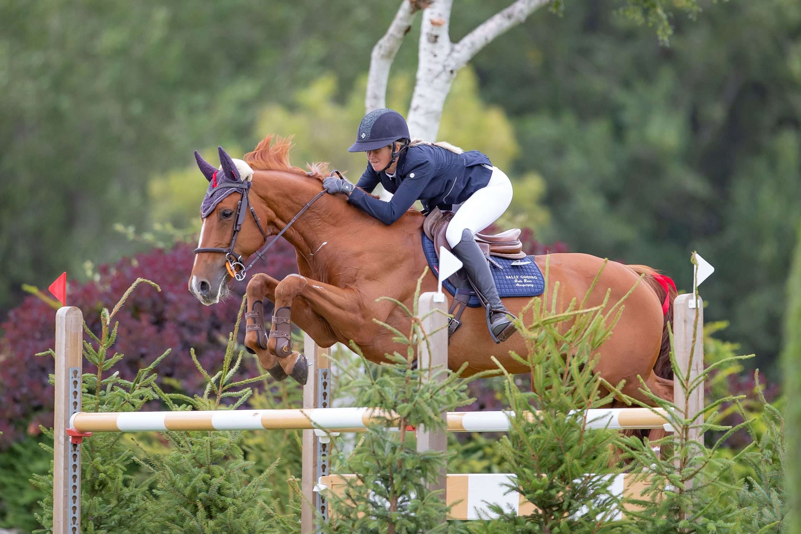 Belgium rider scoops Longines King George V Gold Cup at Hickstead for ...