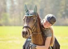 horse and rider, why should a horse be focussed Horseback Riding