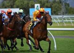 horse racing is a risky sport for horse and jockey