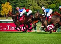 5 Horse Racing Trends Enthusiasts and Investors Should Know