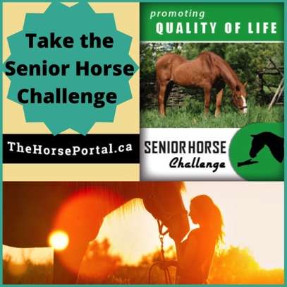 Equine Guelph September Senior Horse Education Month