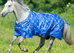 Best Lightweight Turnout Rugs this Spring