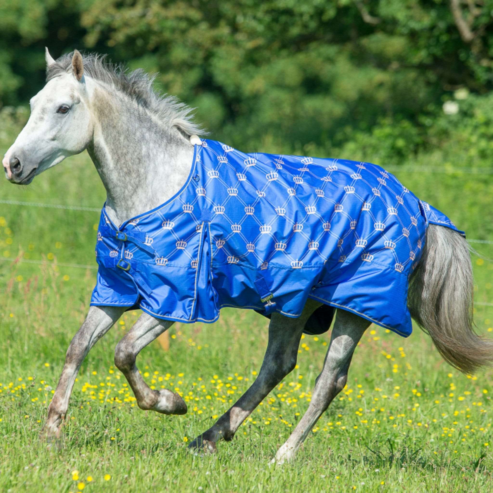 Best lightweight turnout rugs for horses image features Trojan Turnout rug in blue with printed crown