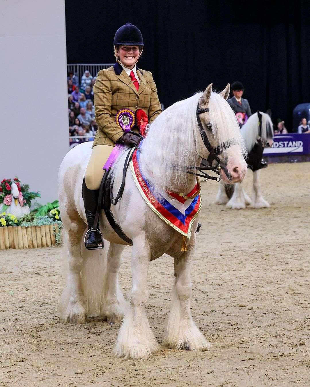 Kirsty Sheath and Hermits Golden Safari 1st Trad Cob Search for a Star HOYS 2022 credit 1st Class Images

