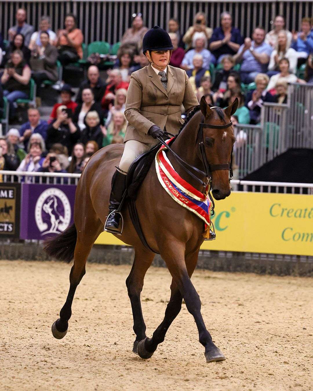 Sarah Moreland and Coultard Z Hunter winners SFAS 2022 HOYS credit 1st Class Images