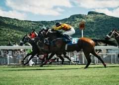 Betting on the Favorite: Exploring Horse Racing Apps at UK Mobile Casinos