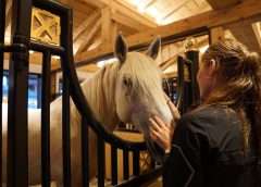 horse owner and horse in stable