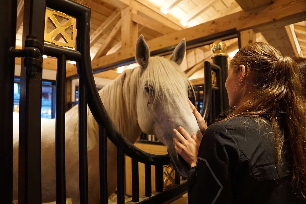 horse owner and horse in stable