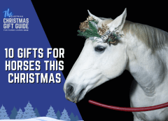 10 gifts for horses this christmas