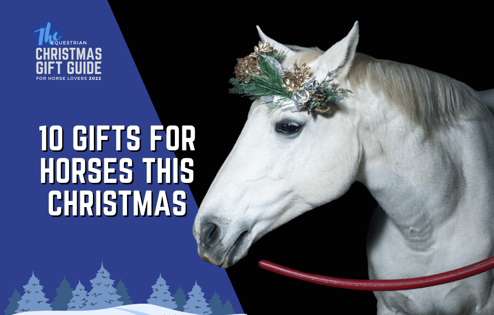 10 gifts for horses this christmas
